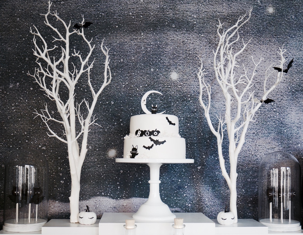 1I9A0686 - Version 2