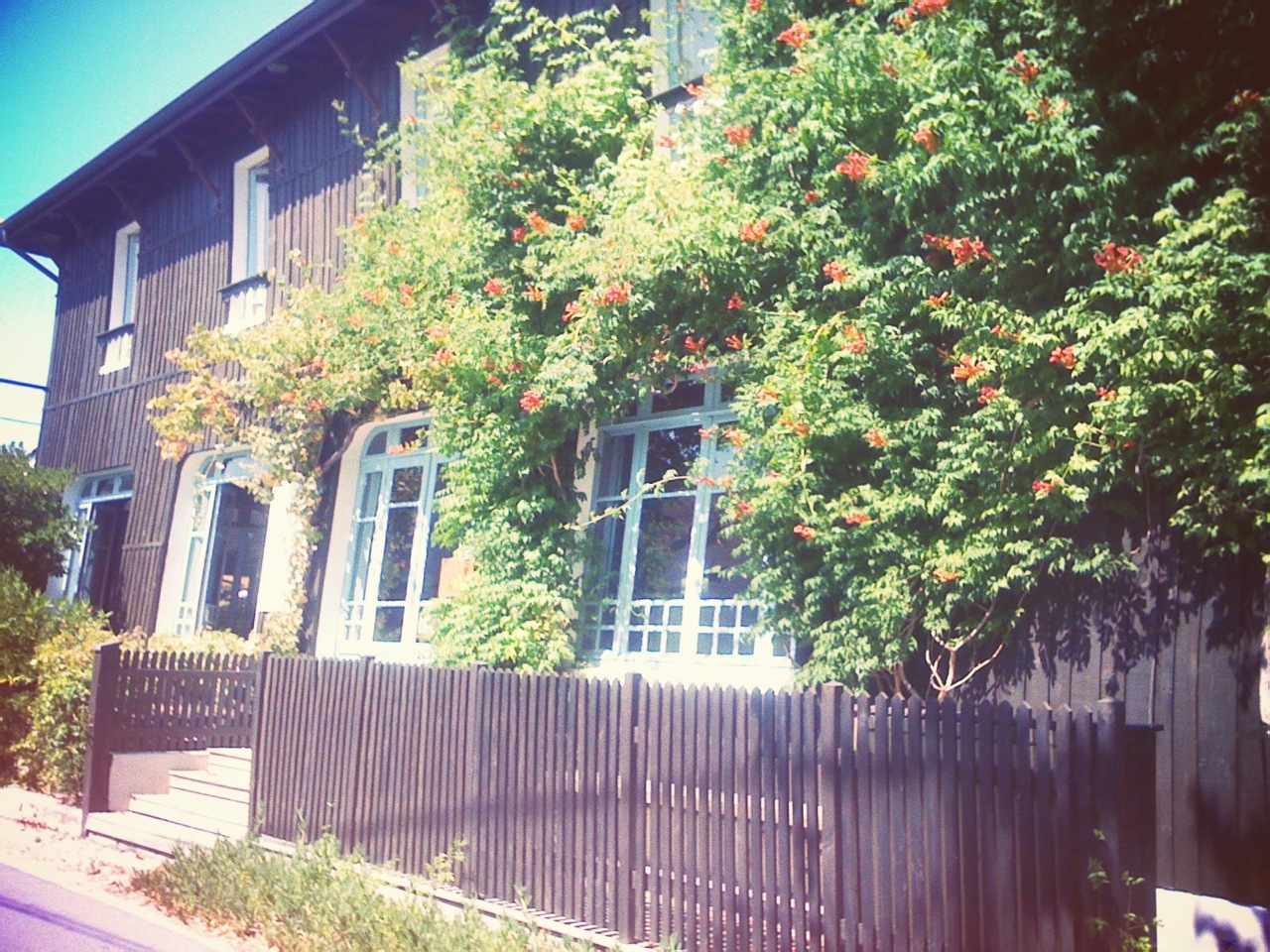 img_0867-jpg_effected-001