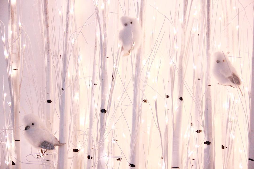 Enchanted winter #kidsparty #lilibergmannstudio ❄️